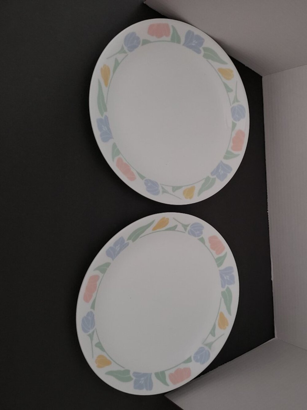 2 Vintage Corelle Friendship 10” Dinner Plates